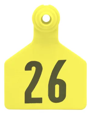 Z2 2-Piece Large Numbered Tags, Yellow